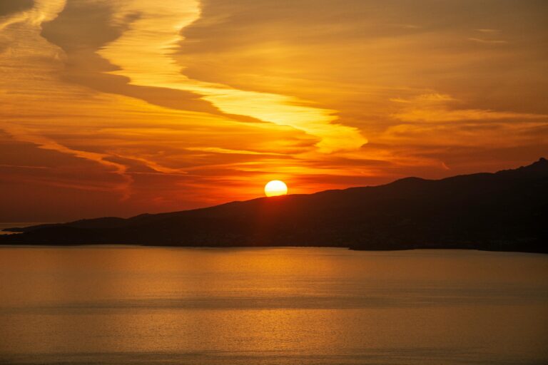 pexels-446105217-15475385