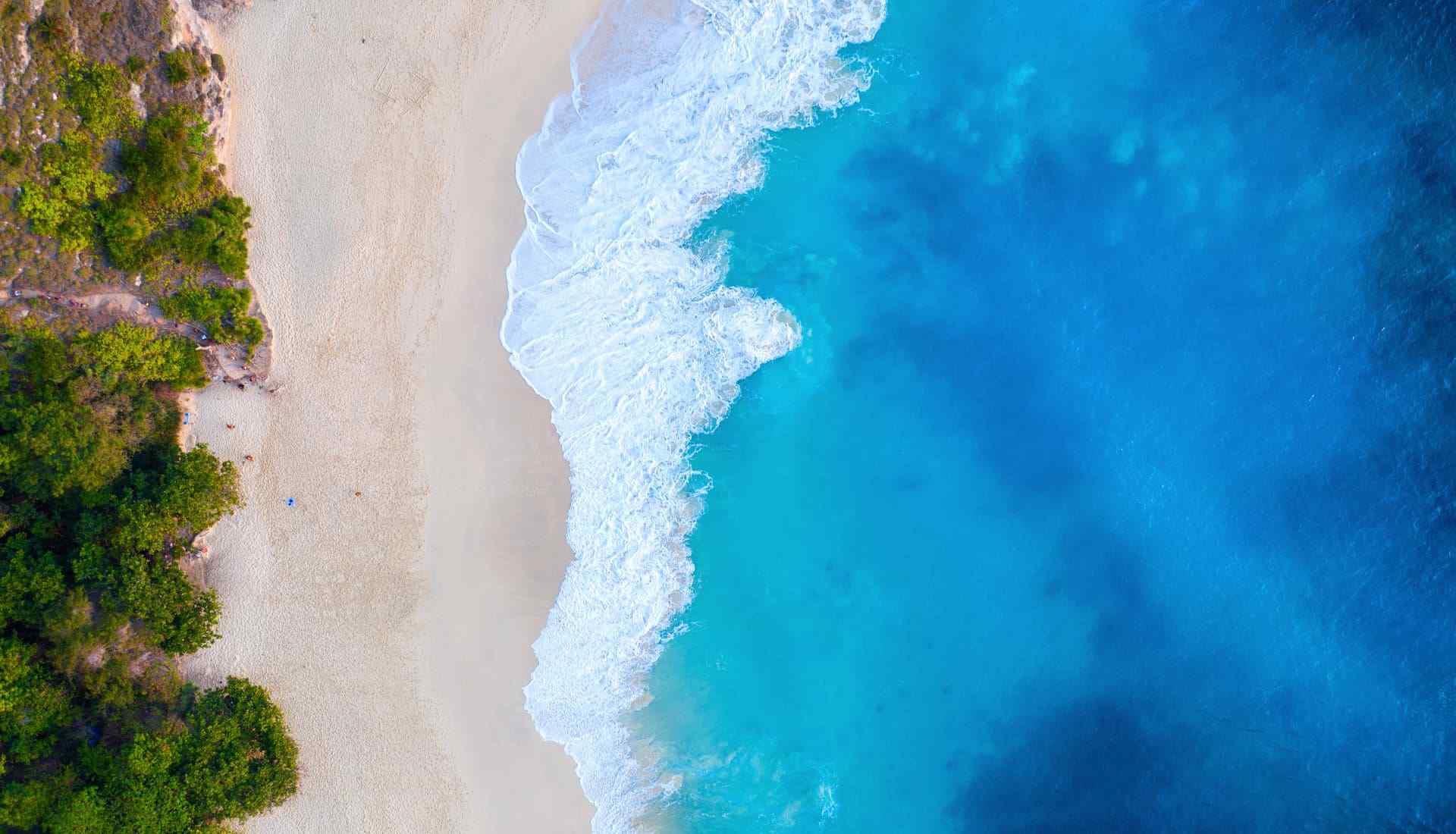 timeline_02 https://oasispremiumyachting.com/wp-content/uploads/2023/02/timeline_02.jpg